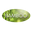 ZAKOII Icon