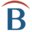Belarc Advisor Icon