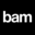 Bambuser Icon