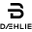 Bjorn Daehlie Icon