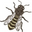 Bee Naturals Icon