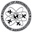 Academy of Aeronautics Icon