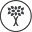 Health Scholars Icon