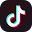 TikTok Icon