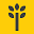 Thinkfield Icon