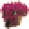 Pase Seeds Icon