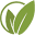 Sage College Prep Services Icon
