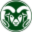 CSU Online Icon