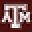 Texas A&M University Distance Education Icon