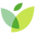 IvyWise Icon