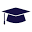 Vista College Prep Icon