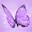 Career Choices Unlimited Icon