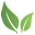 Vibrant CBD Health Icon
