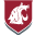 WSU Financial Aid Icon