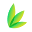 Myleaf CBD Icon