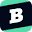 Brainly Icon