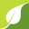 Ayotree Icon