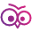 CV Owl Icon