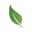 GreenJobs Icon