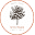 Winters Fruit Tree Icon