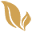 Abundant Natural Health Icon