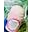 Cocomango Beauty Bar Icon