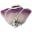 Mildred and Iolas Boutique Icon