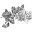 Haven Mercantile Icon