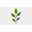 Plant Haus Designs Icon