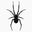 Venenosa Lashes Icon