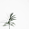 Twelve29 Icon