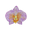 Aimej Jimay Icon