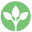 Nutriumph Icon