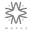 Wapas Icon