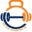 THE BODY SHOPPE Icon