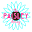 The Paisley Daisy Icon