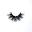Naked Lashes Icon