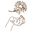 Kissed by Kismet Icon