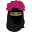 Naeema's Boutique Icon