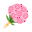 abcFlora Icon