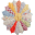 Softpaw Vintage Icon