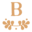 Bloomforwomen Icon