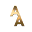 Avahnti Apparel Icon