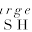 Bourgeois Lashes Icon