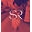Sunshine Royalty Boutique Icon