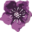Violets & Pearls Icon