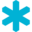 Snow Software Icon
