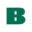 Boise Icon