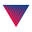 LeadTools Icon