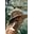 Friends of Friends Hat Co Icon